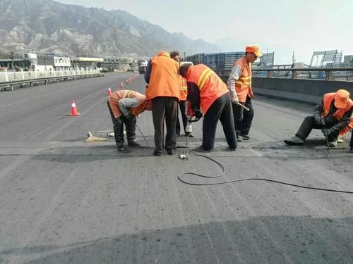 浩口原种场道路桥梁病害治理